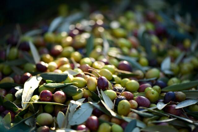 olives-253264_1920.jpg