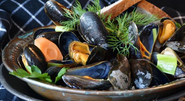 shellfish-g8f809a606_1920.jpg